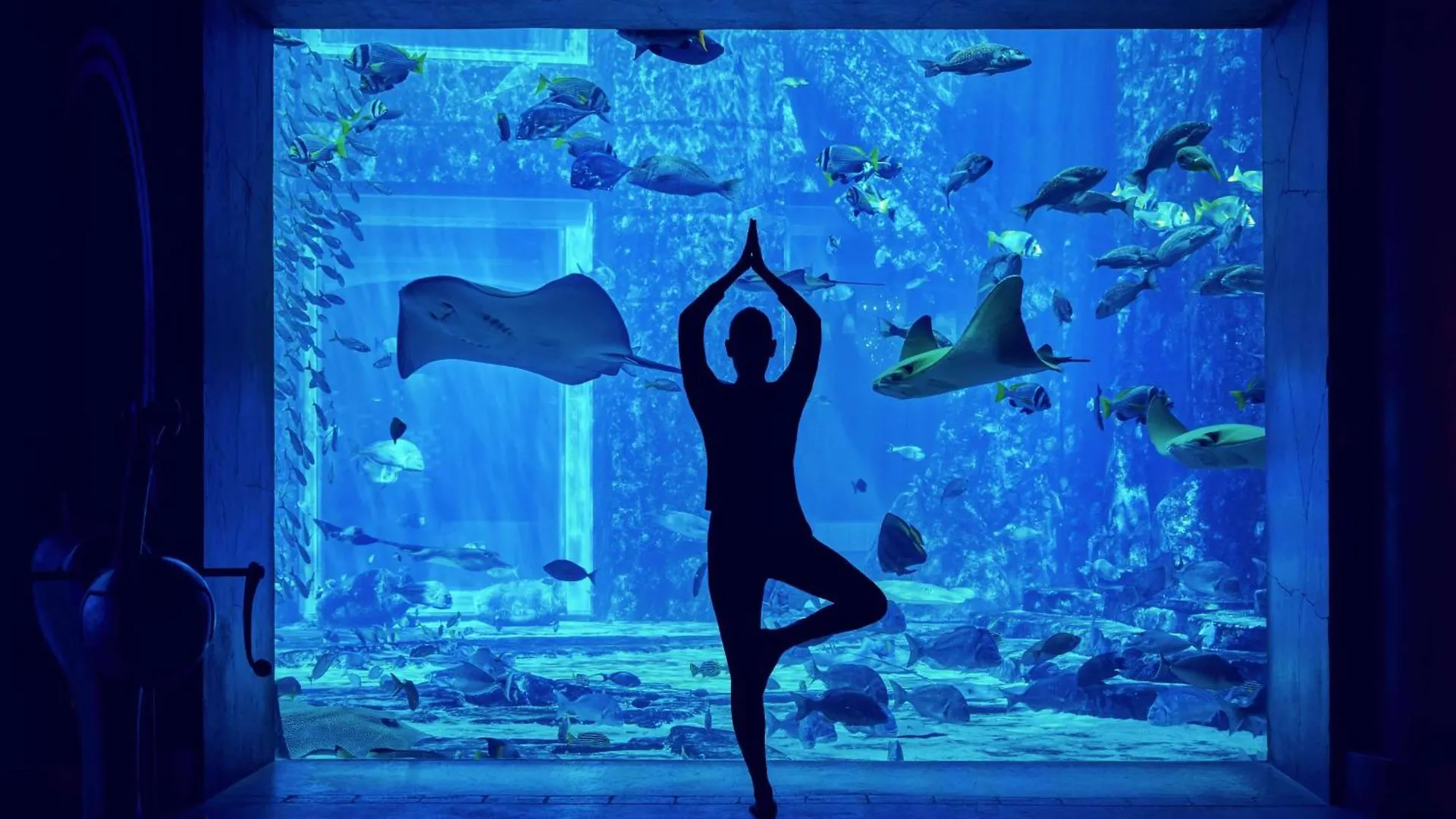 Курортный комплекс Отель Atlantis The Palm, Дубаи Дубай